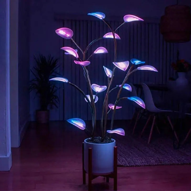 Best Decorative Magic Plant Light for Home